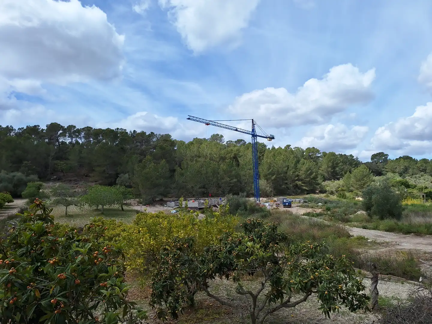Residential land for sale in Montuïri, imagen 25