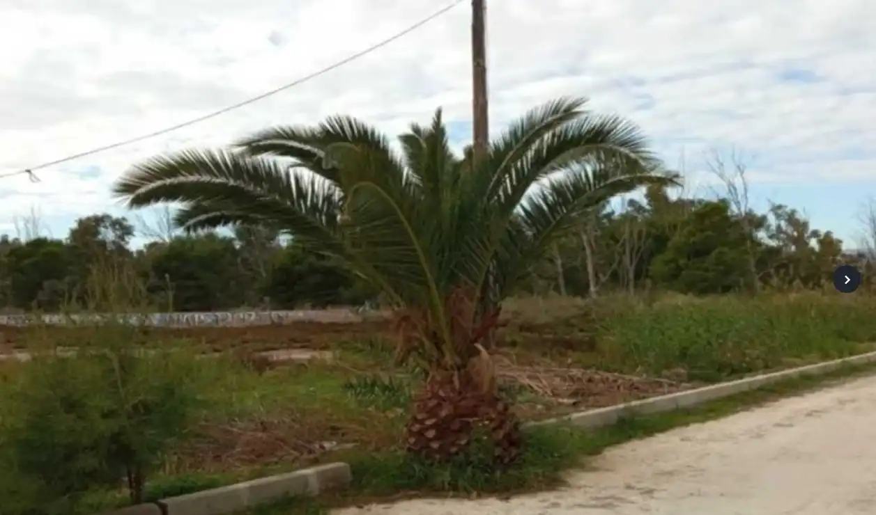 Terrenos y solares en venta en Benicasim Golf, imagen 15