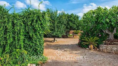Foto 4 de Finca rústica en venta en Sant Llorenç Des Cardassar, Sant Llorenç des Cardassar, Illes Balears