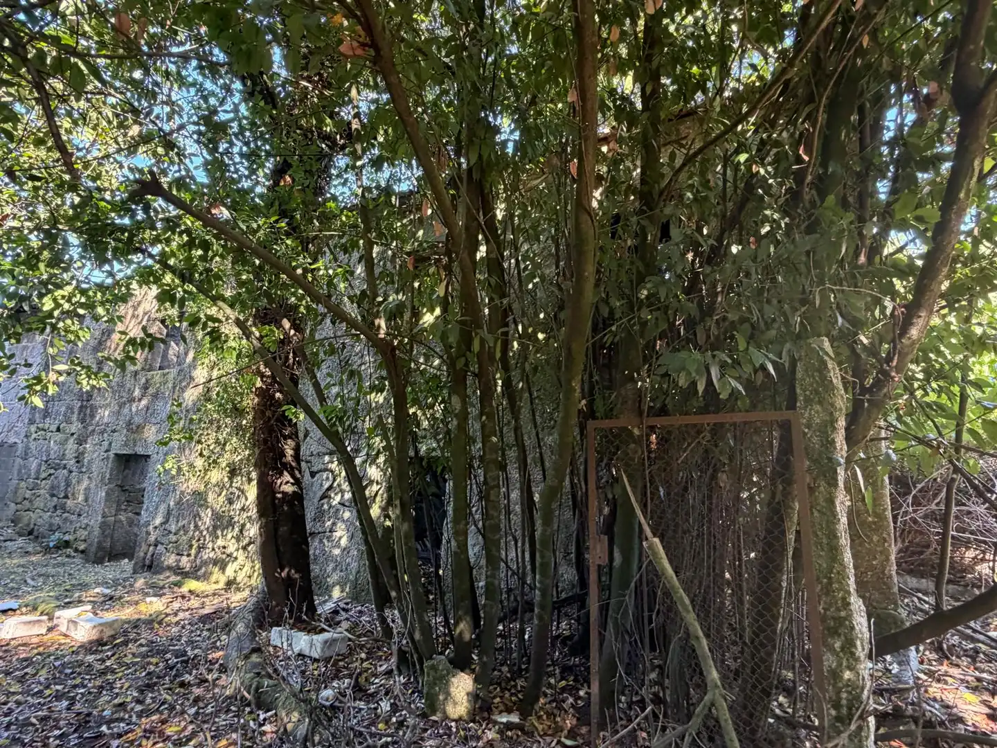 Casa rústica con jardín en venta en PO-254, imagen 34