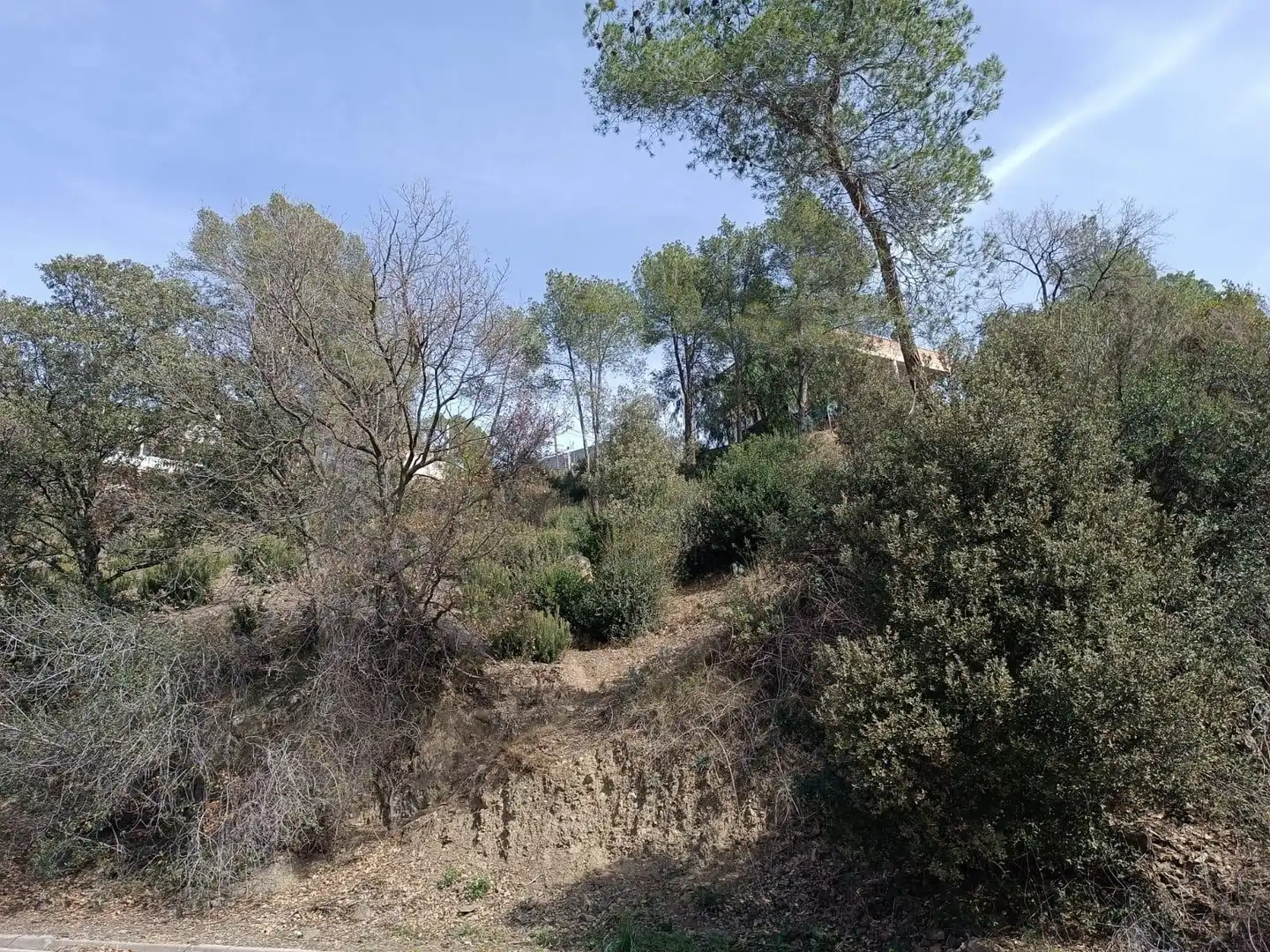 Terreno residencial en venta en Calle MONTE LAURO