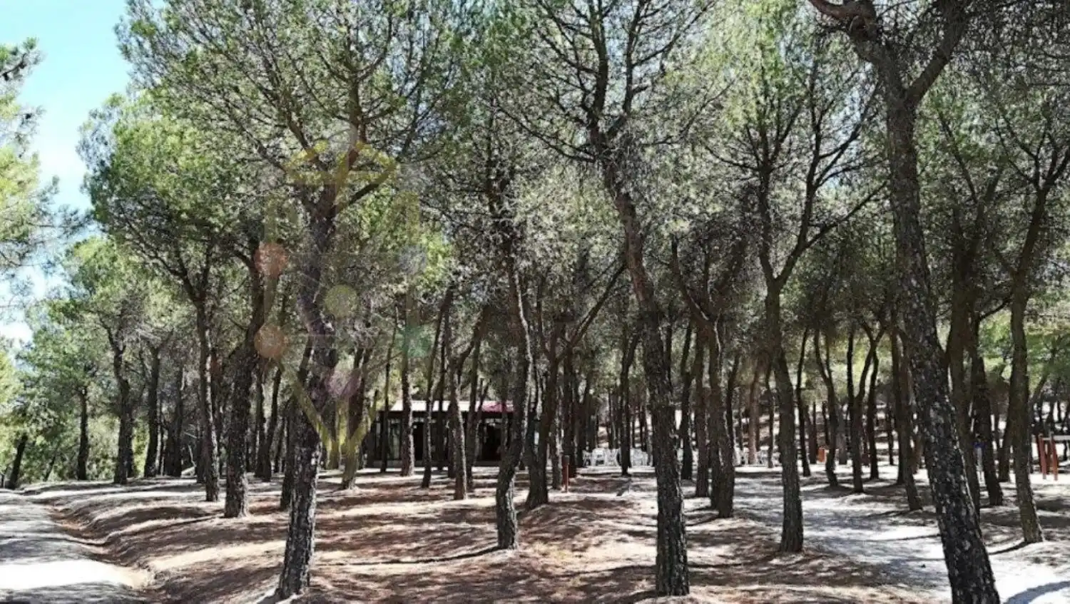 Terreny residencial en venda a la Fuente, imagen 15