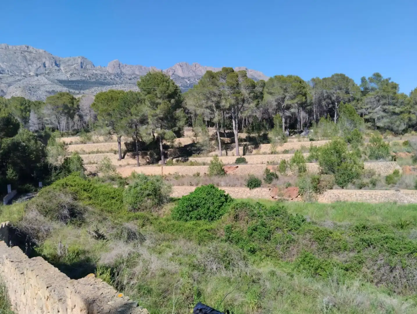Villa con piscina in vendita a Altea la Vella, imagen 39