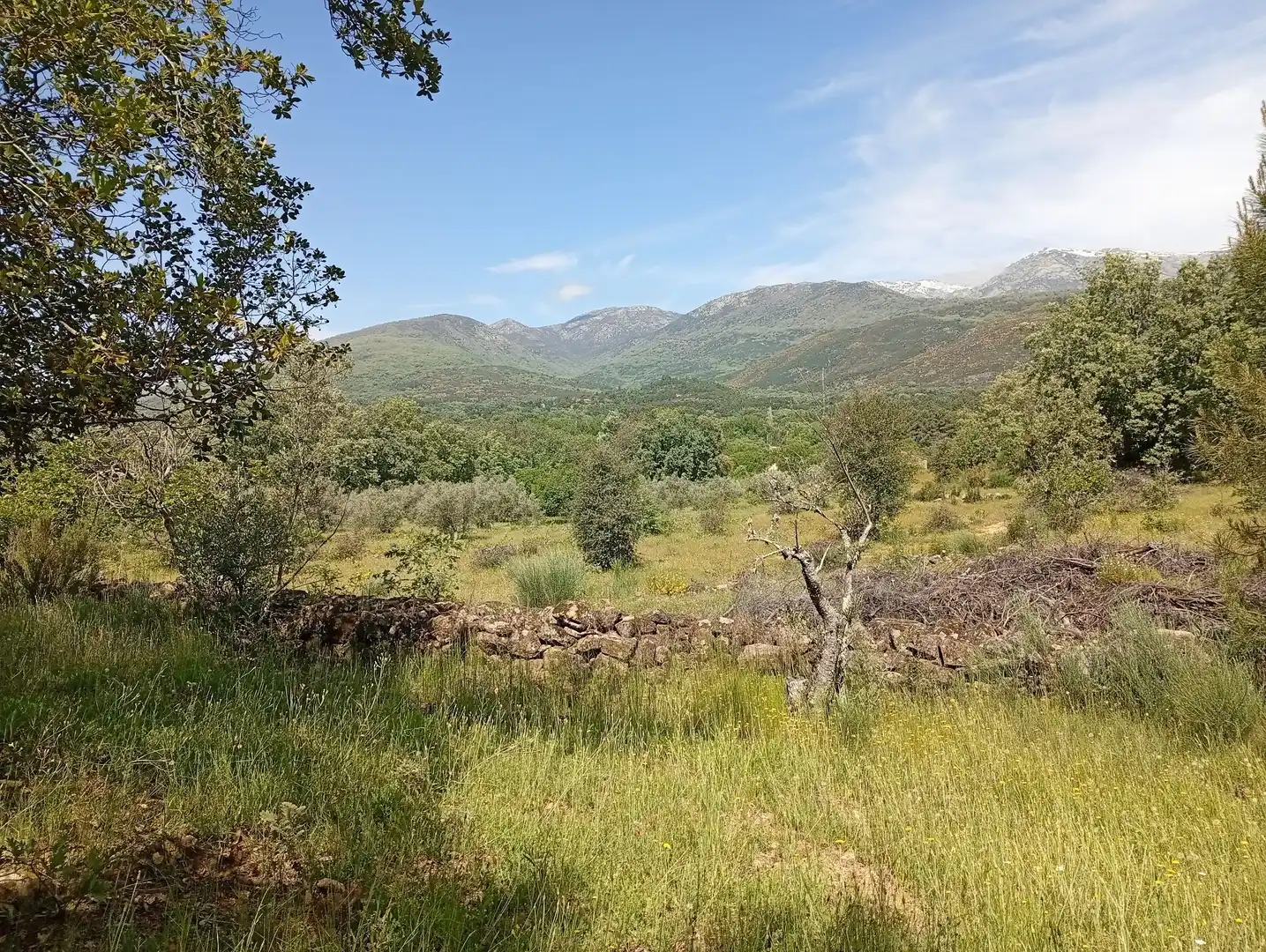Terreni e lotti in vendita a Villanueva de la Vera, imagen 92