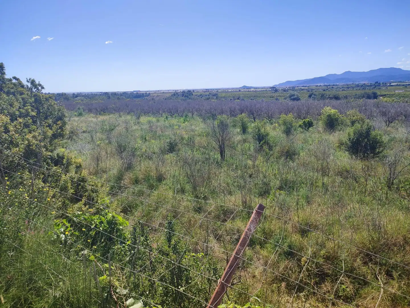 Rural land for sale in Onda, imagen 2