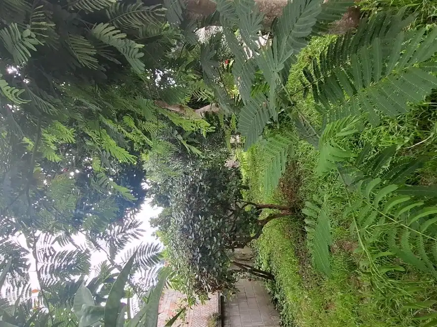 Terreno en venta en Noia