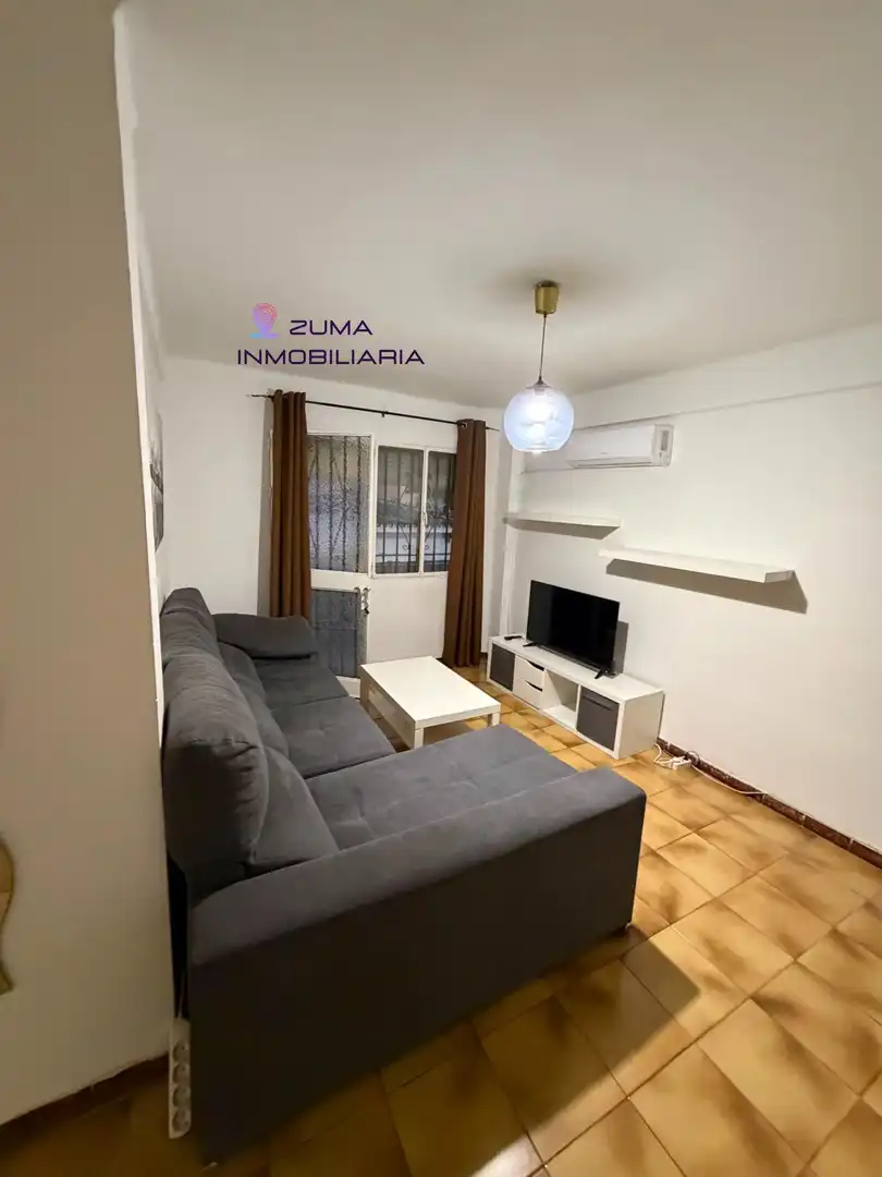 Living room of Flat for rent in Málaga  with Air Conditioner, Terrace and Furnished