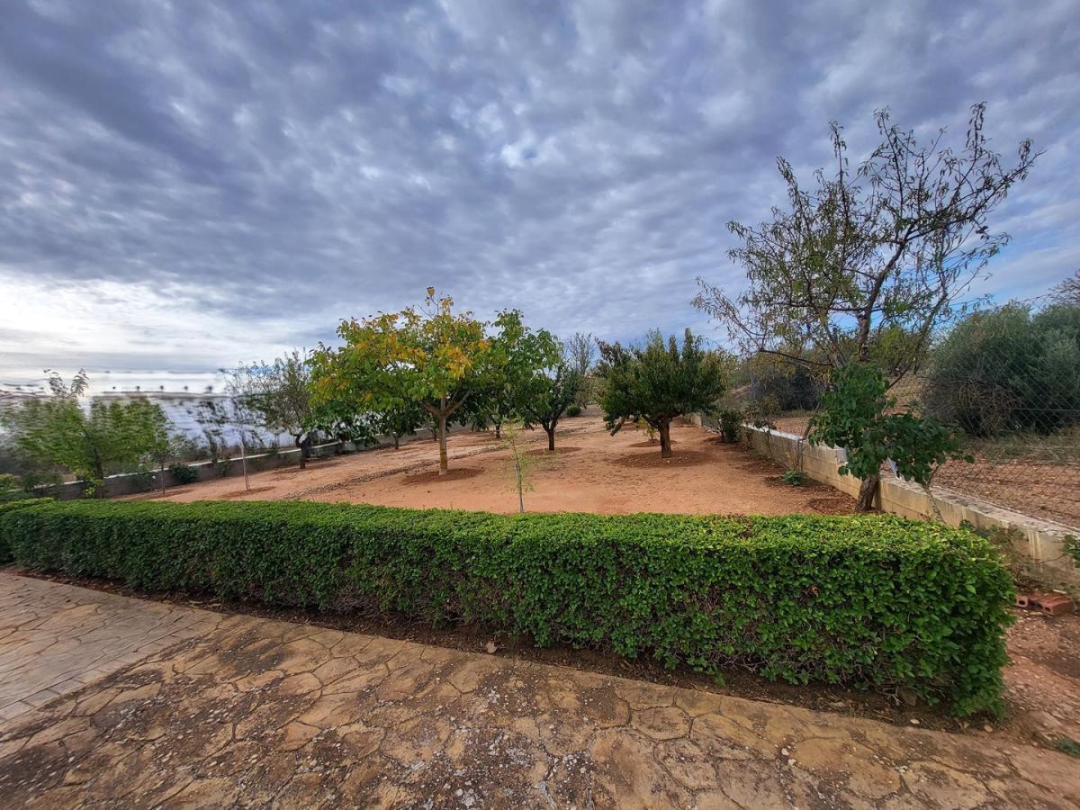 House or chalet for sale in Casas de Benítez  with Terrace