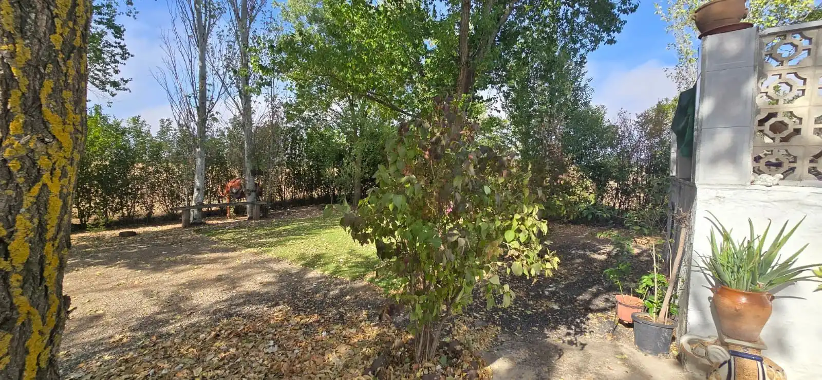 Country homes for sale in Villamayor de Calatrava