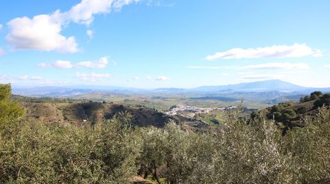 Photo 2 of Country homes for sale in Loma del Pocito, Alozaina, Málaga