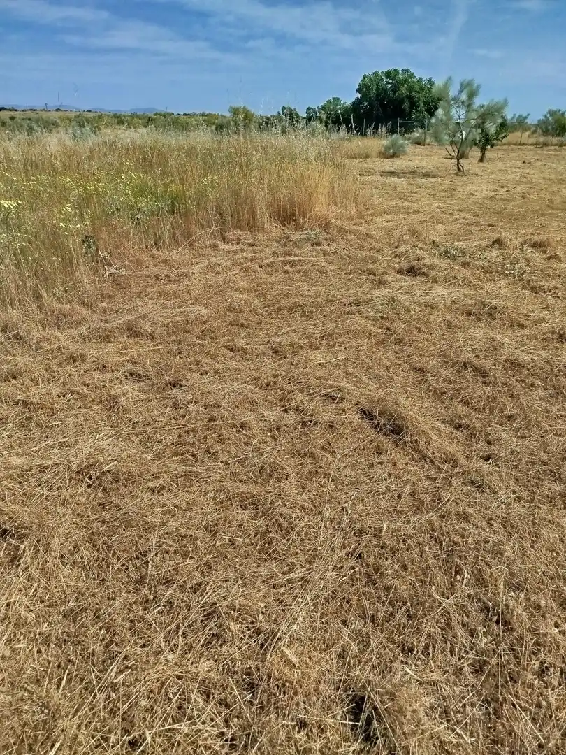 Terreno rústico en venta en Fuencarral - El Pardo, imagen 20