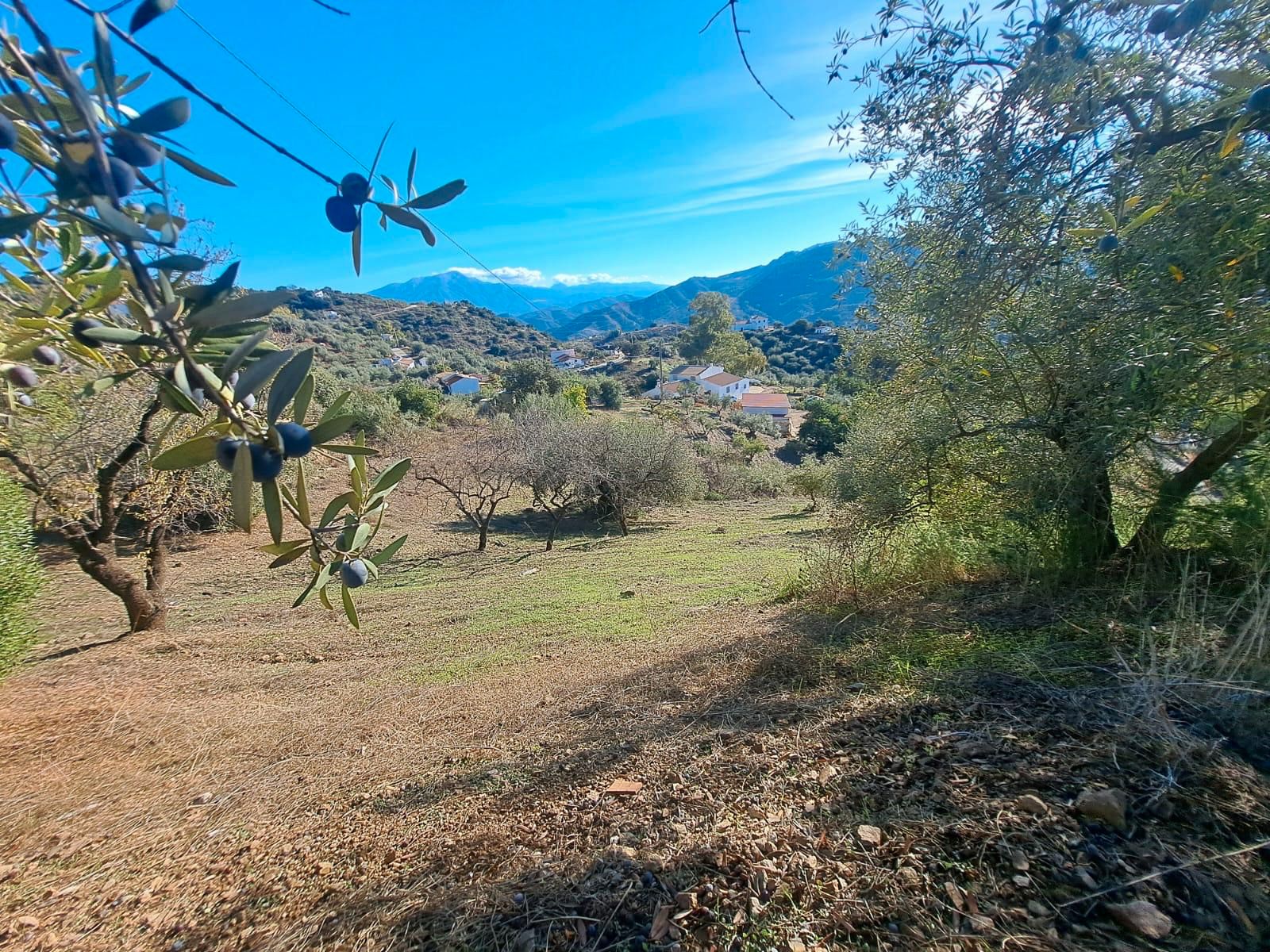 Casa o xalet en venda a Calle Camino de Solano, Colmenar