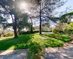 Vista exterior de Casa o xalet en venda en  Madrid Capital amb Aire condicionat, Jardí privat i Piscina