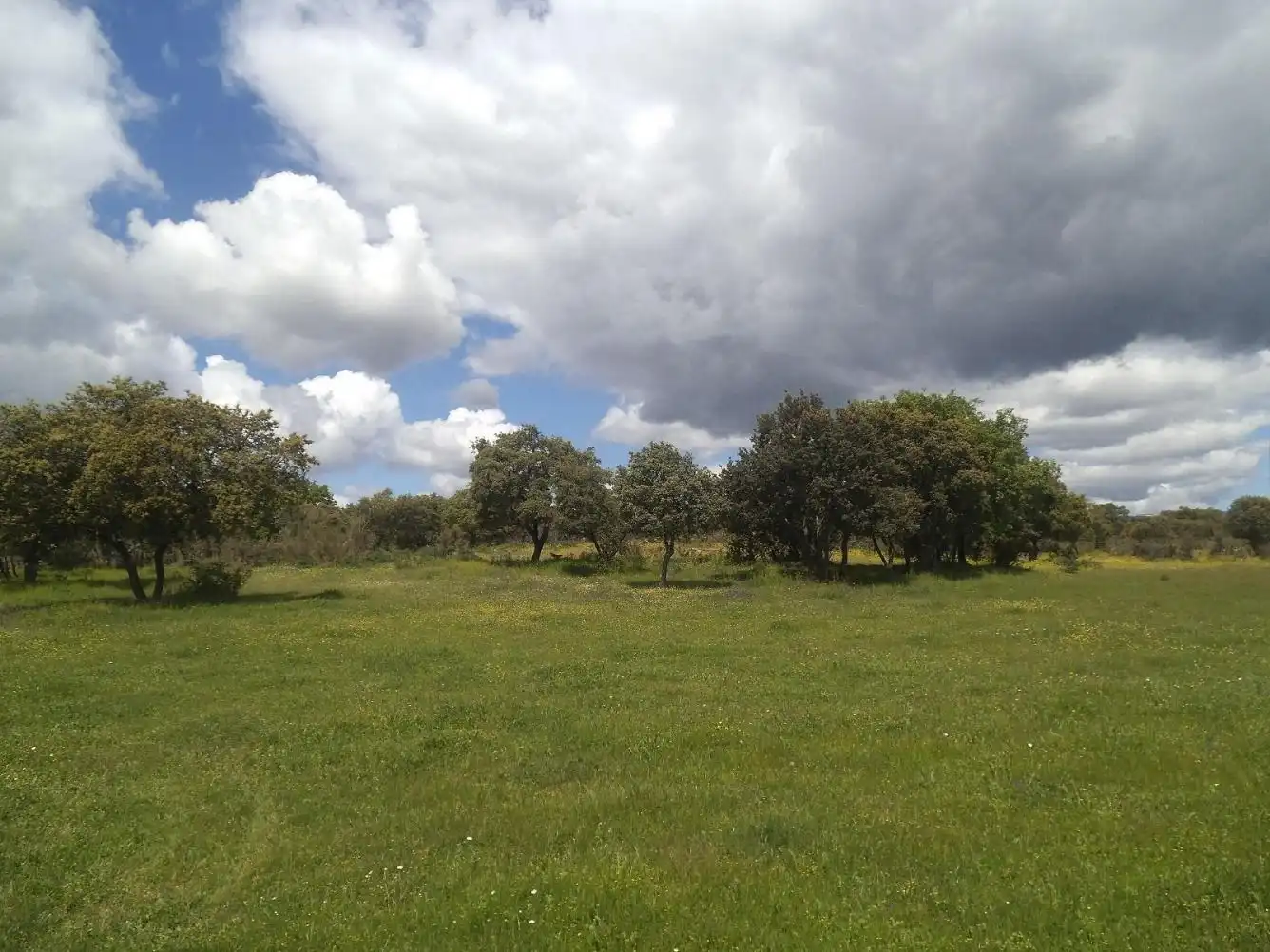 Residencial en venda en Valdemorillo