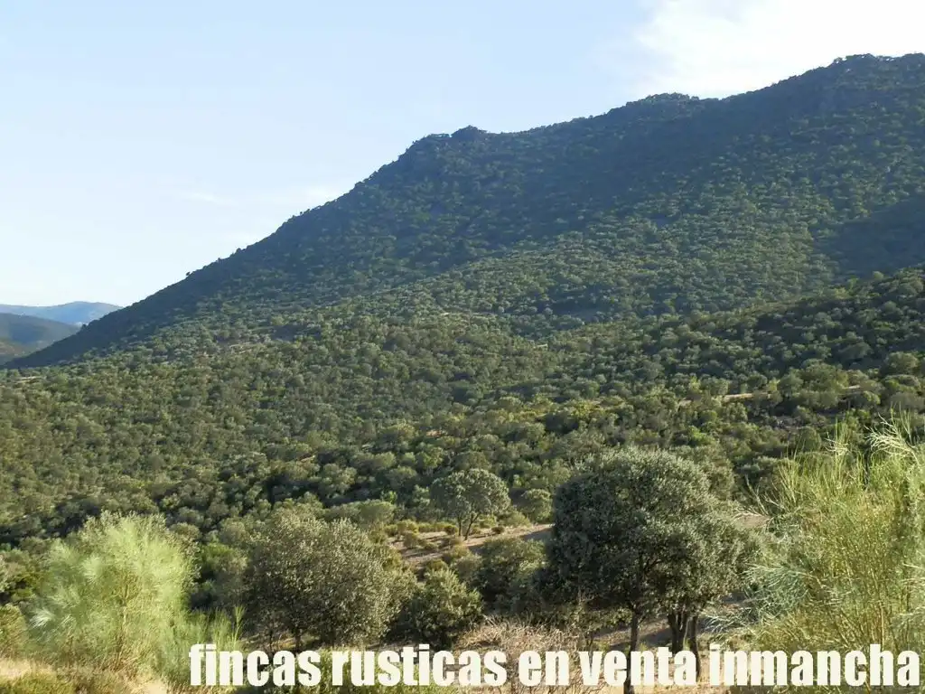 Rustikales Grundstück zum Verkauf in Avenida Ciudad Real Pol N 7, imagen 11