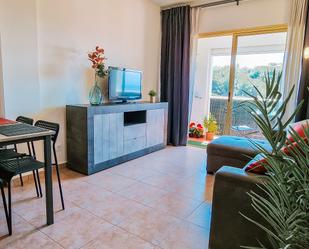 Living room of Flat to rent in Lloret de Mar  with Balcony