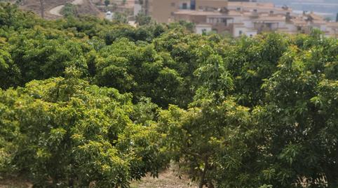 Photo 4 of Residential for sale in Motril  ciudad, Granada