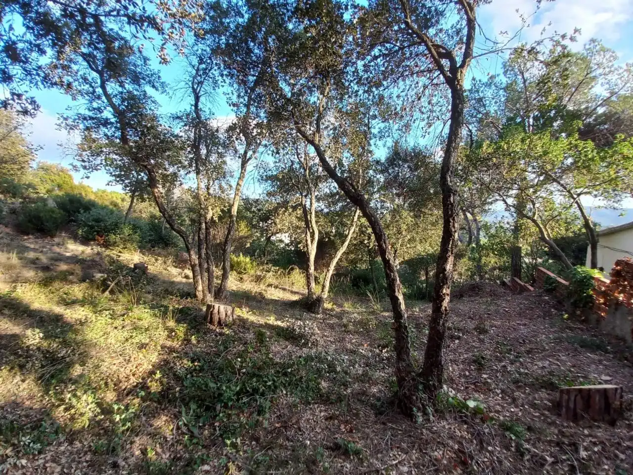 Terreno en venta en Calle Mataró, 27, Can Massuet del Far