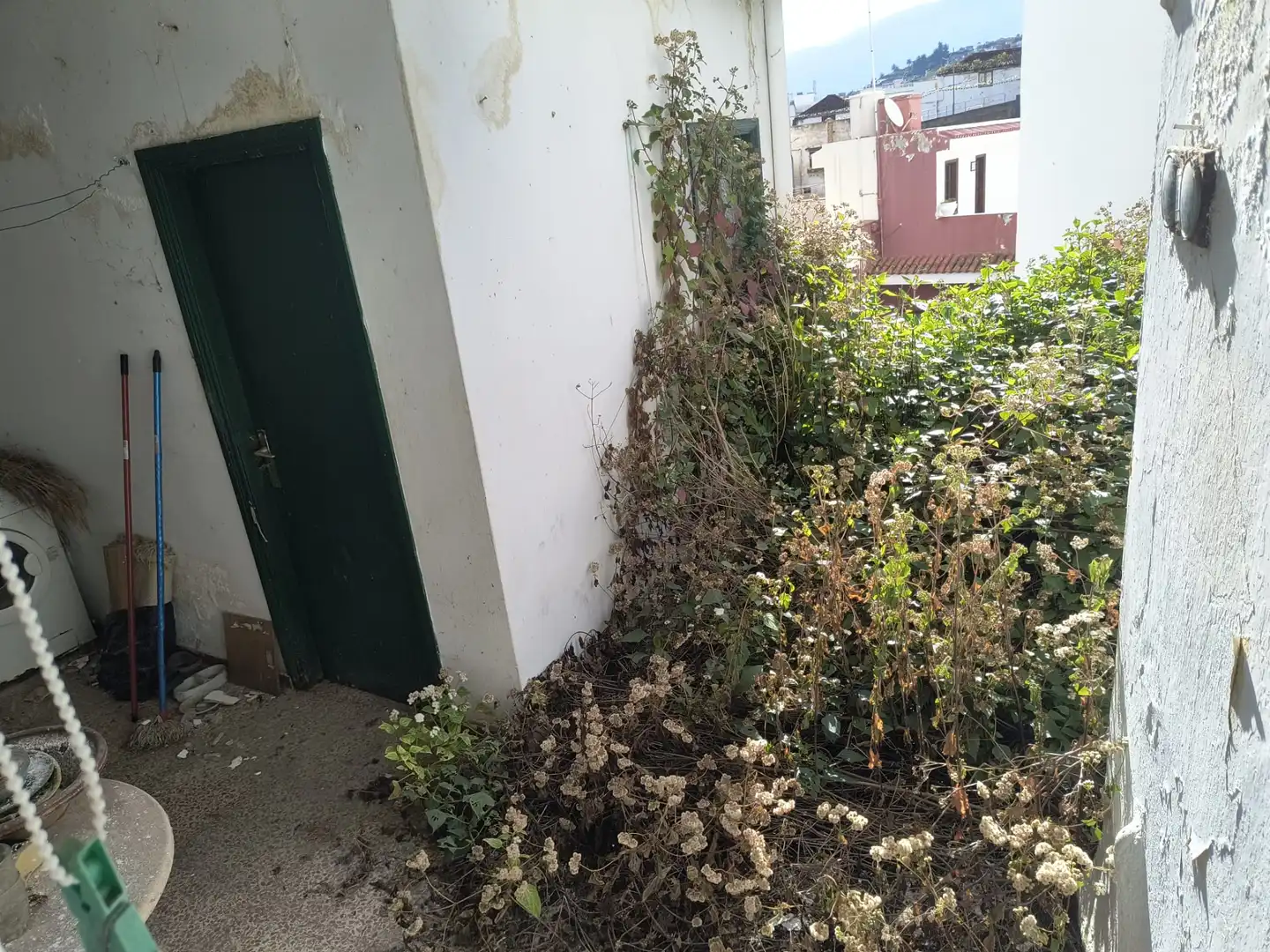Jardín de Casa o chalet en venta en Los Realejos con Jardín privado, Terraza y Amueblado