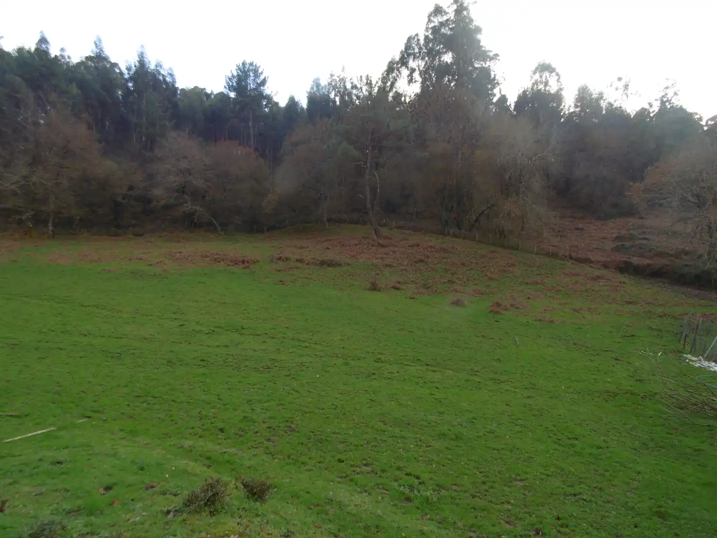 Finca rústica en venta en Lemoiz