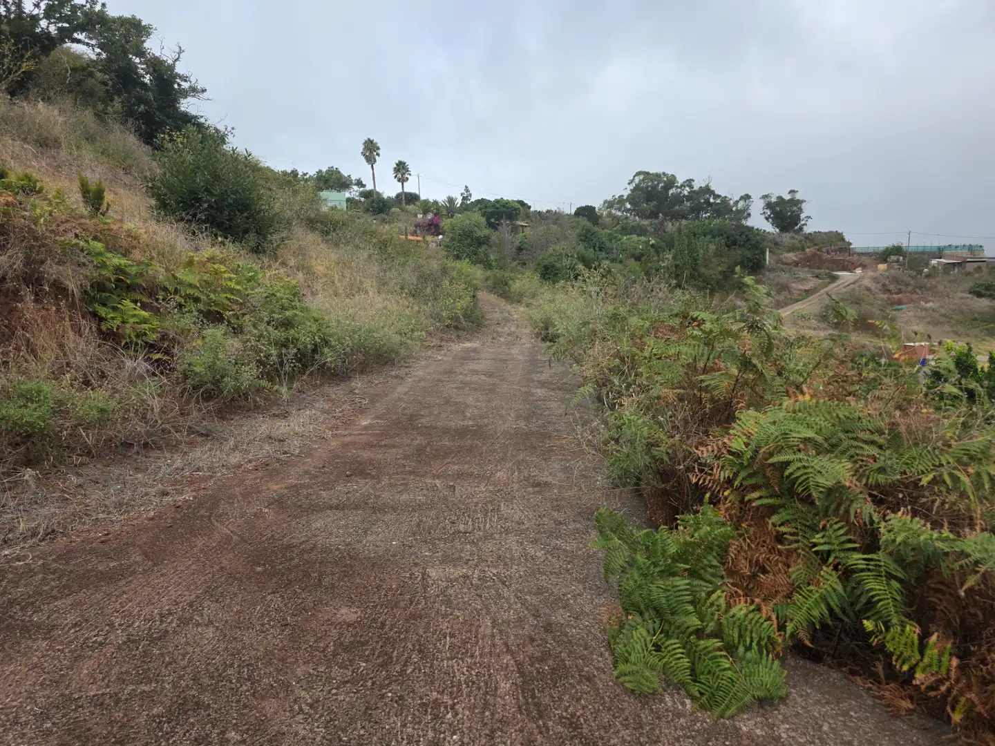 Rural land for sale in Camino las Peñuelas 11, imagen 10