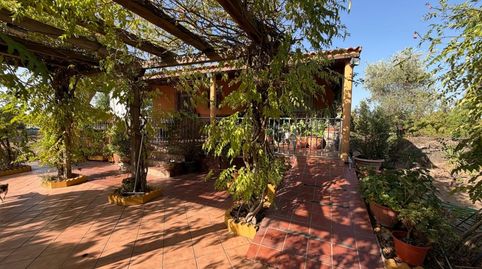 Foto 2 de Casa o chalet en venta en Arroyo de la Luz, Cáceres