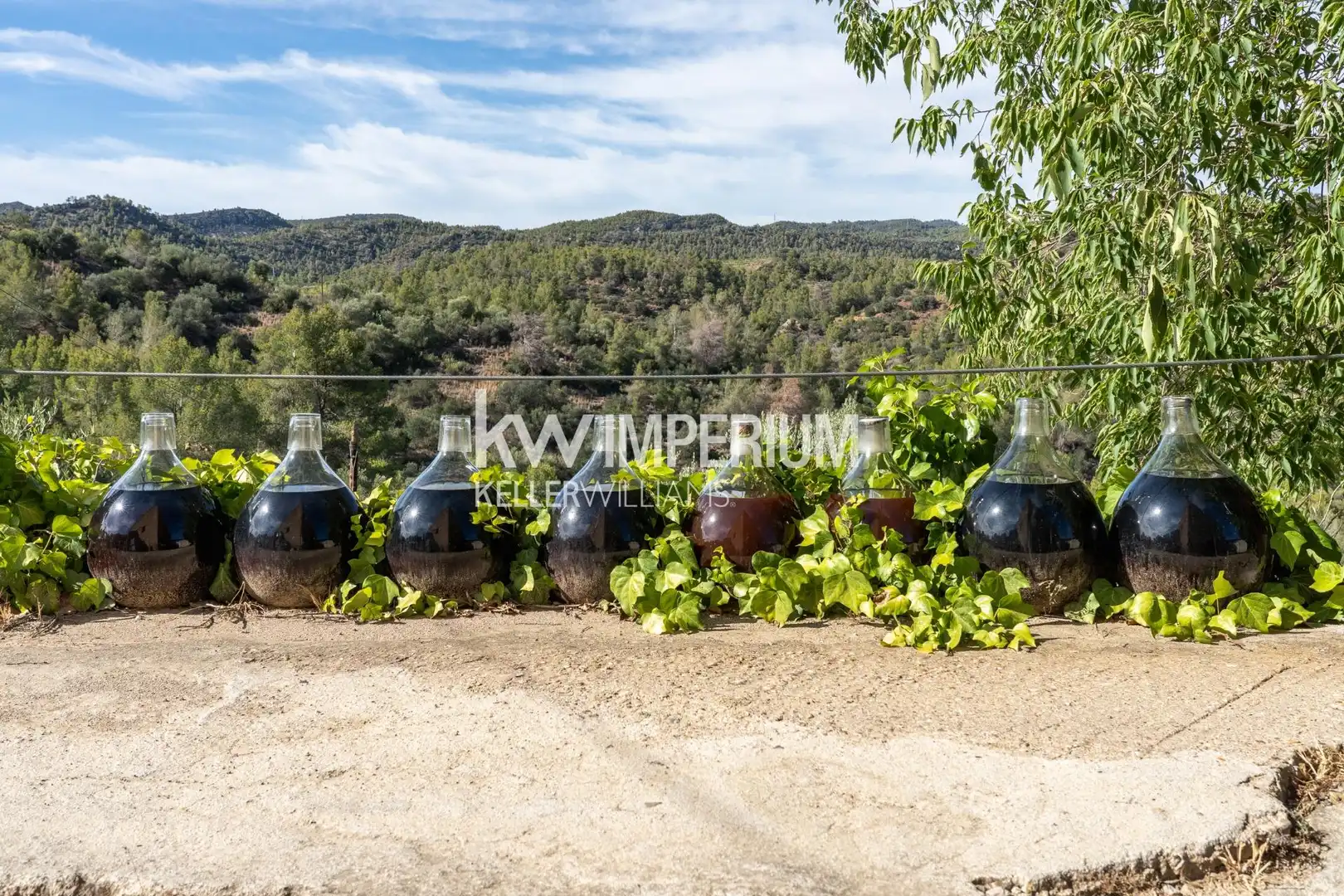 Jardí de Finca rústica en venda en El Molar (Tarragona) amb Aire condicionat, Calefacció i Jardí privat