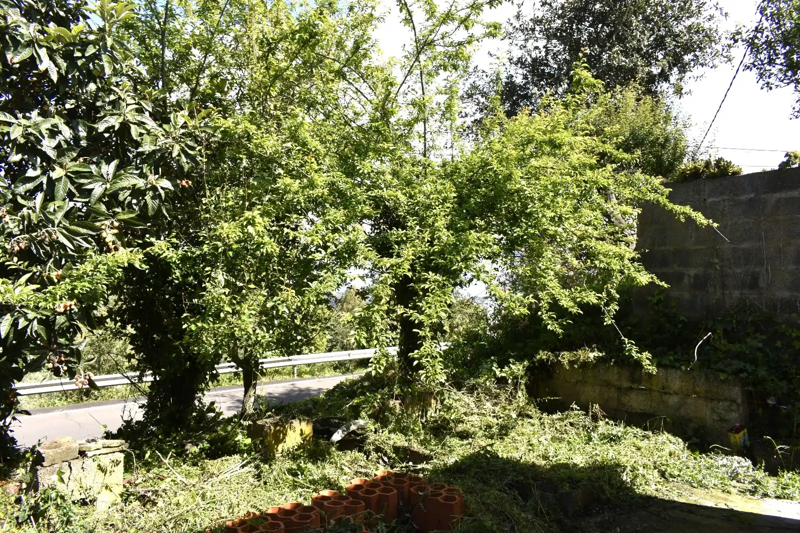 Vista exterior de Casa o chalet en venta en Teror con Jardín privado