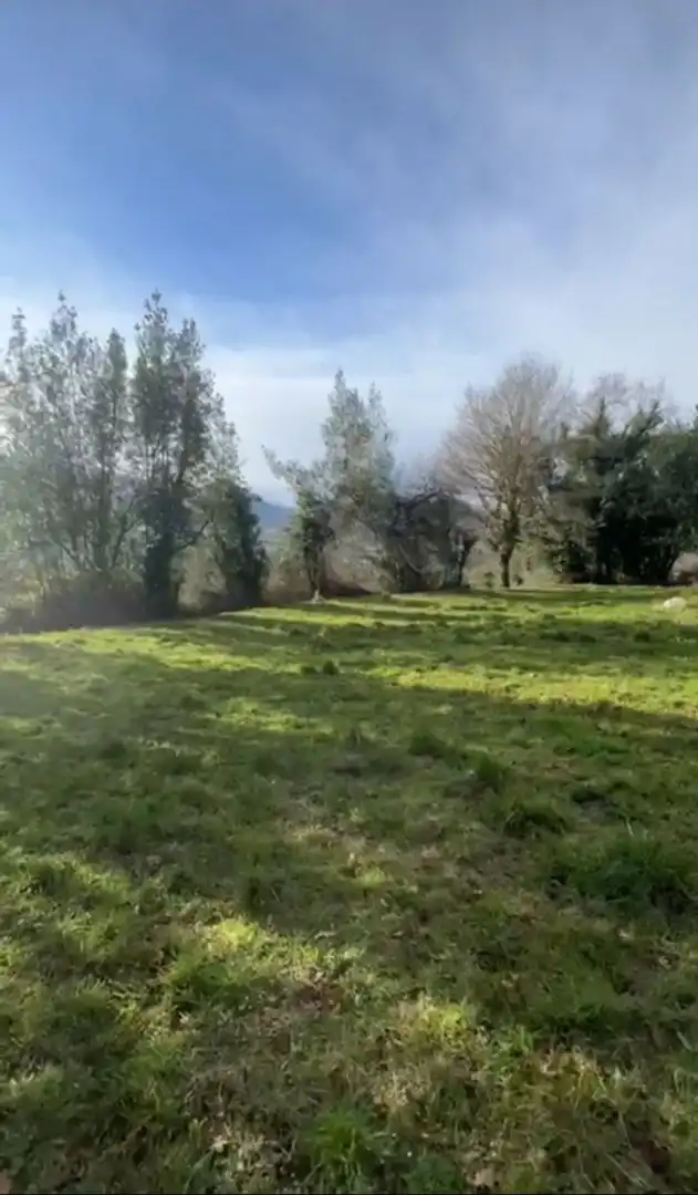 Casa o xalet en venda en Salas amb Terrassa i Piscina