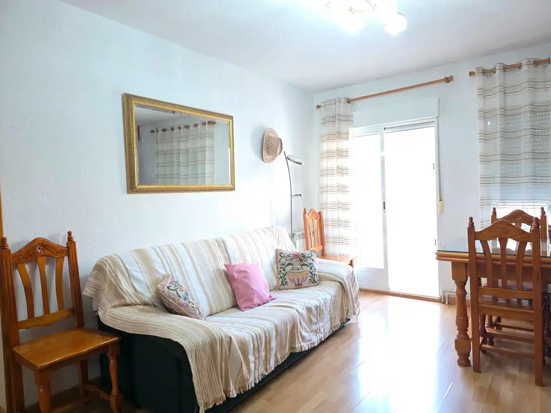 Living room of Flat for rent in Madrid  with Heating, Terrace and Furnished