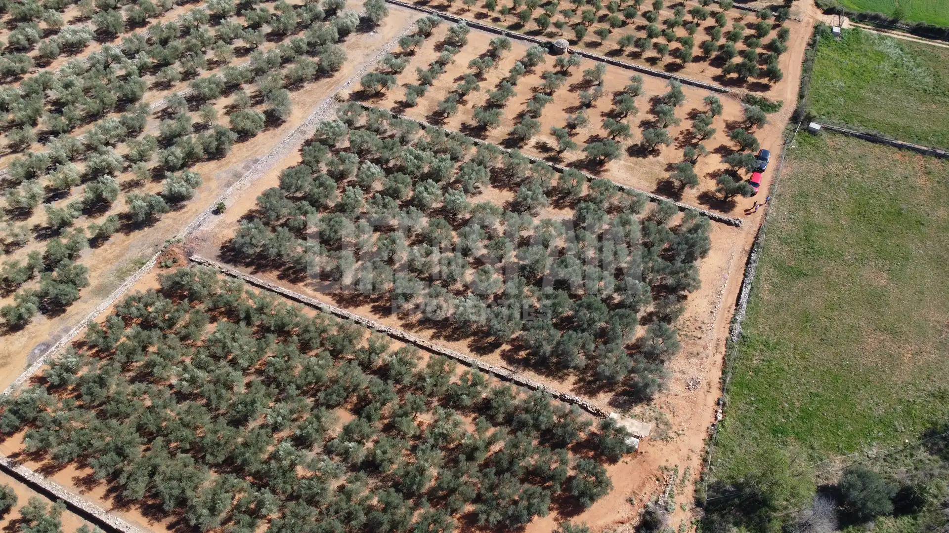 Terreno rustico in vendita a Freginals, imagen 7