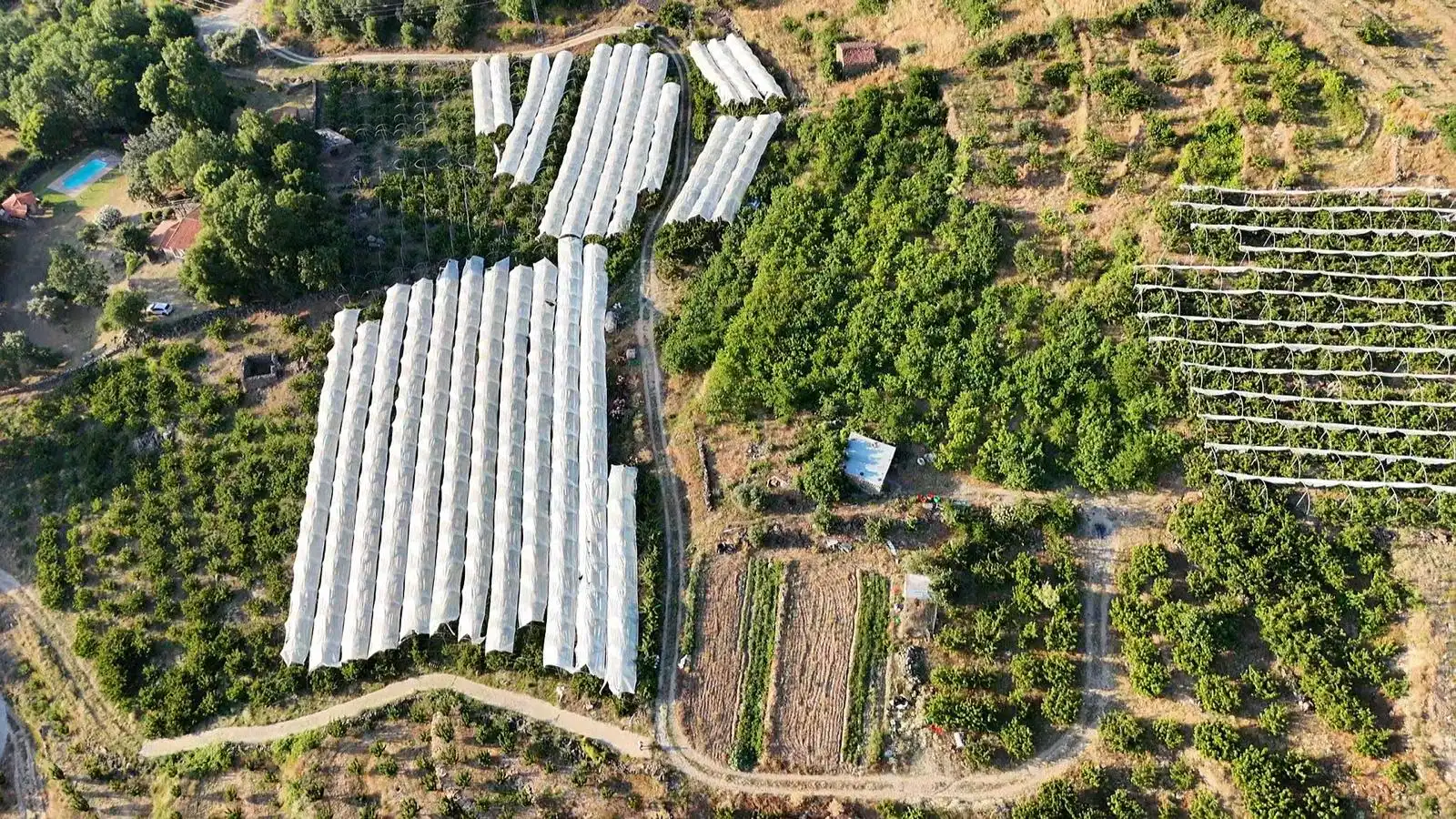 Terreni e lotti in vendita a Casas del Castañar, imagen 3