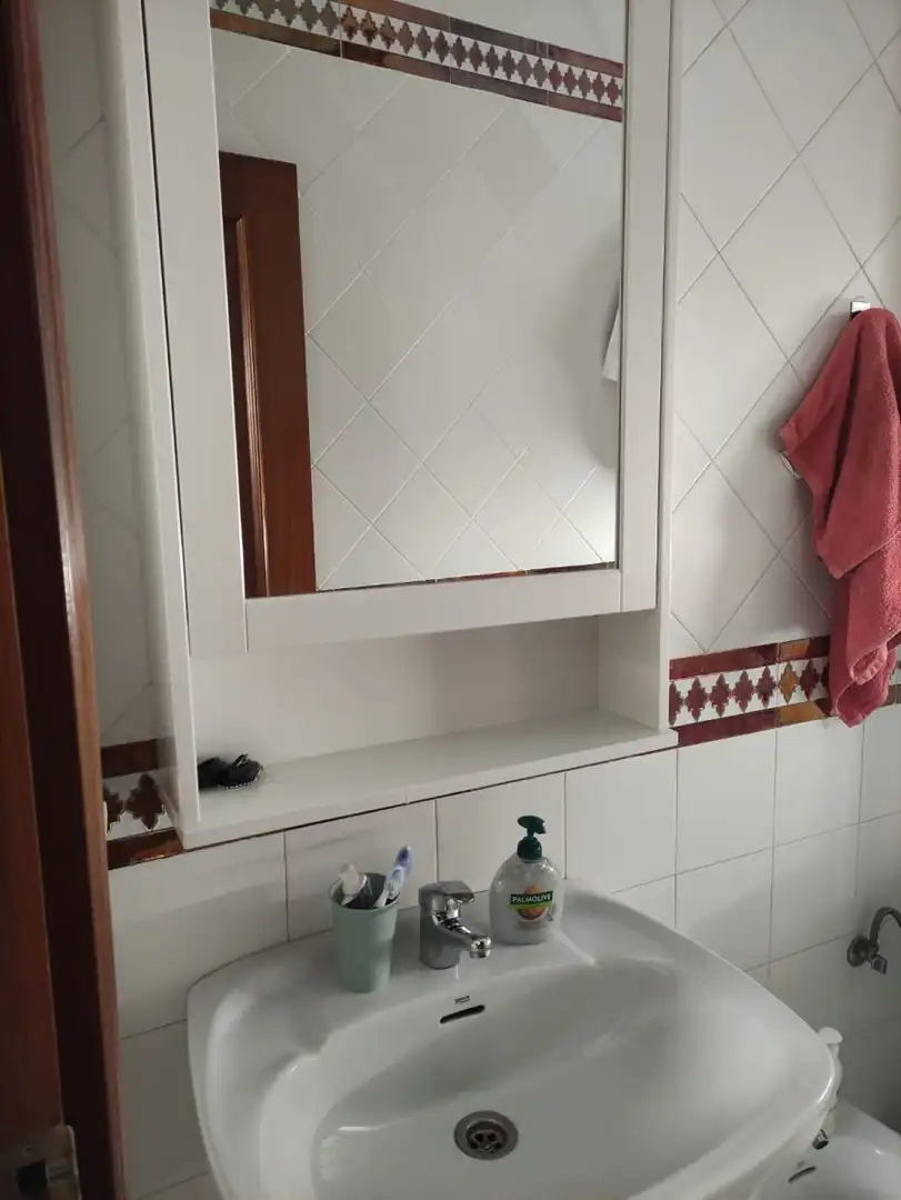 Apartments for rent in Centro