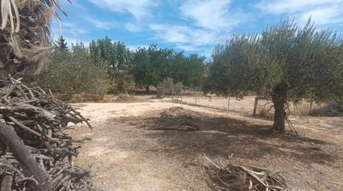 Photo 4 of House or chalet for sale in Partida Torregroses Polígono a, Sol y Luz, Alicante