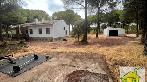 Foto 3 de Finca rústica en venta en N/a, -1, Andújar, Jaén