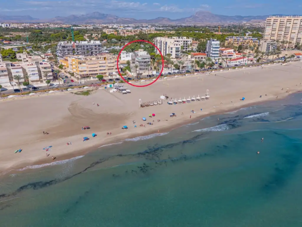 Apartments for sale in Playa Muchavista