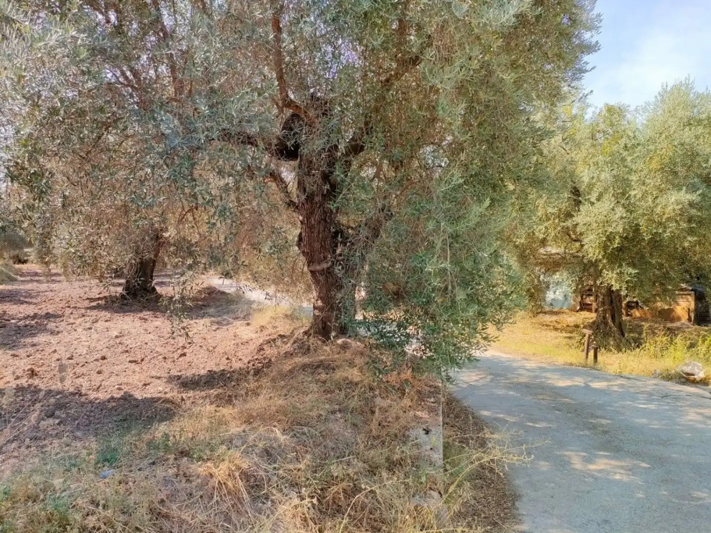 Grundstücke und Bauplätze zum Verkauf in Ugíjar, imagen 10