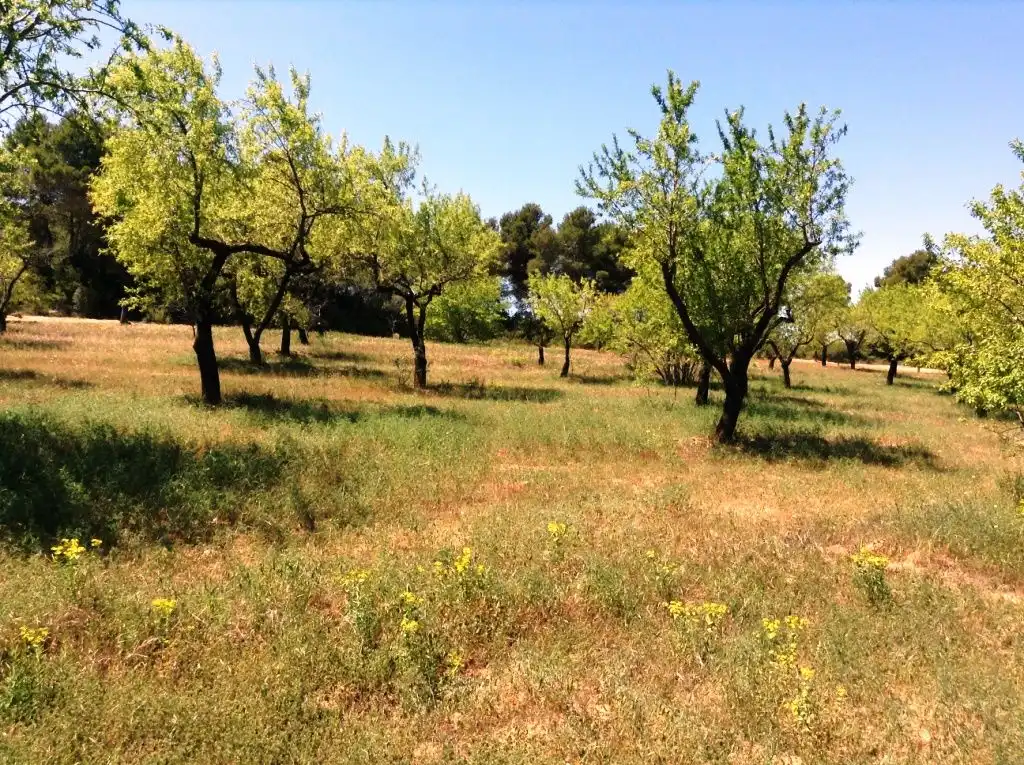 Terreni e lotti in vendita a Arens de Lledó, imagen 5