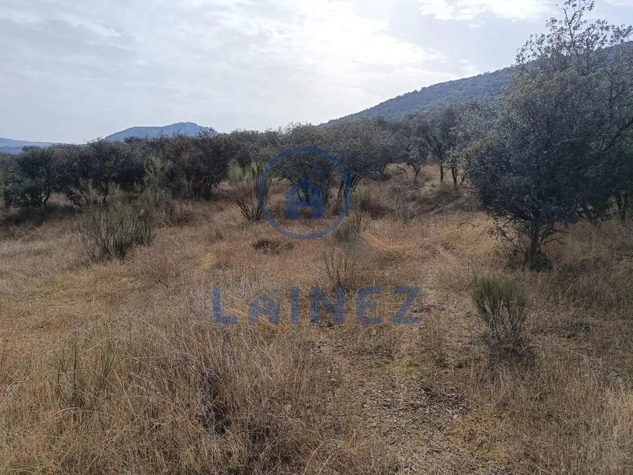 Lands and plots for sale in Espiel, imagen 14
