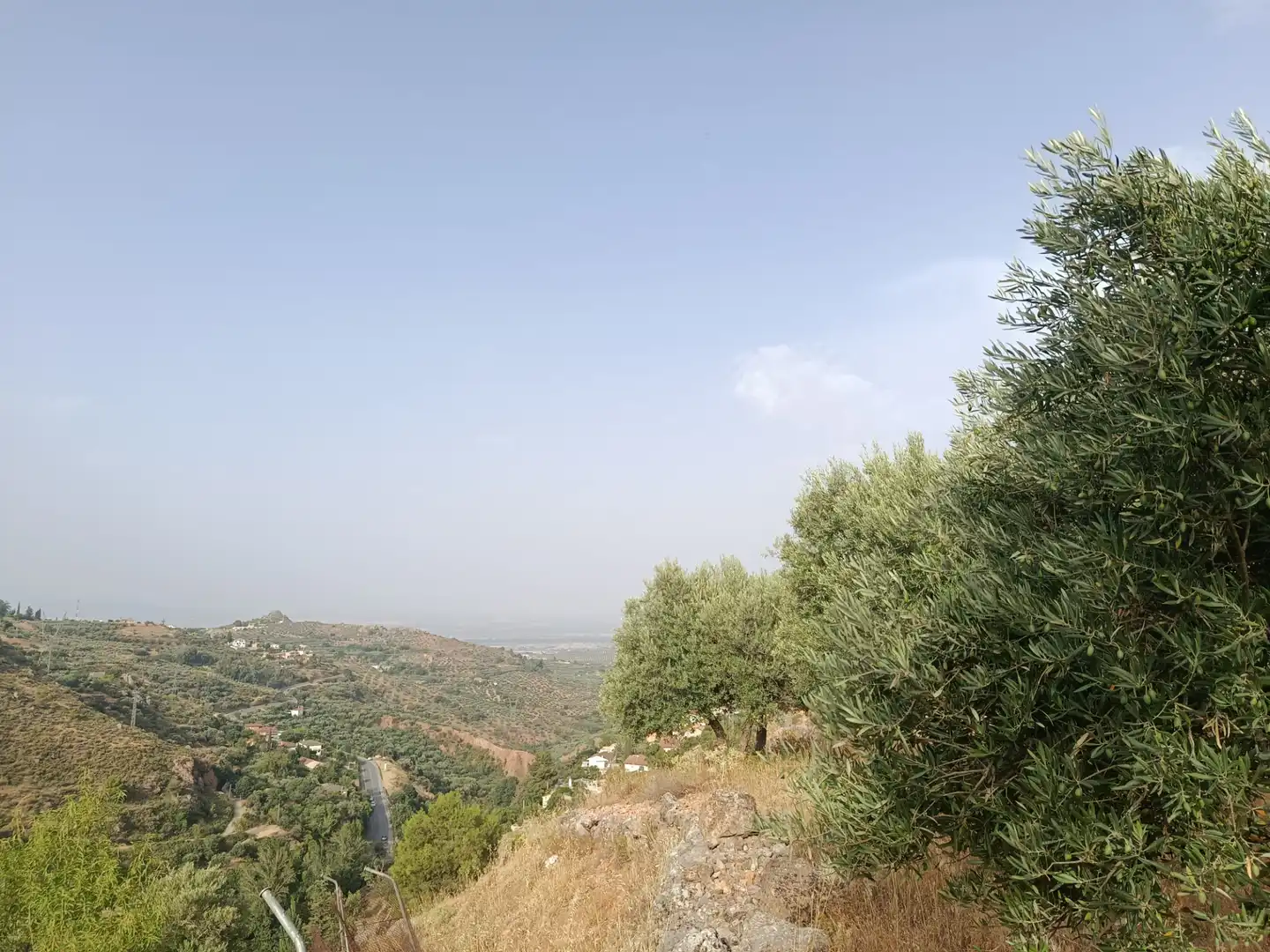 Terreni e lotti in vendita a Cogollos de la Vega, imagen 3