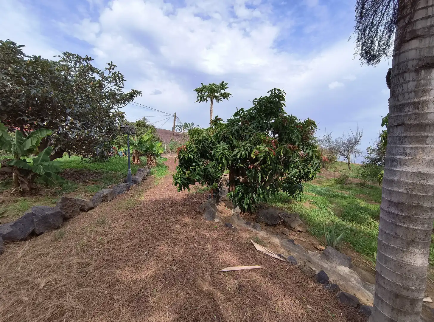 Casa o chalet en venta en La Orotava con Jardín privado, Parquet y Terraza