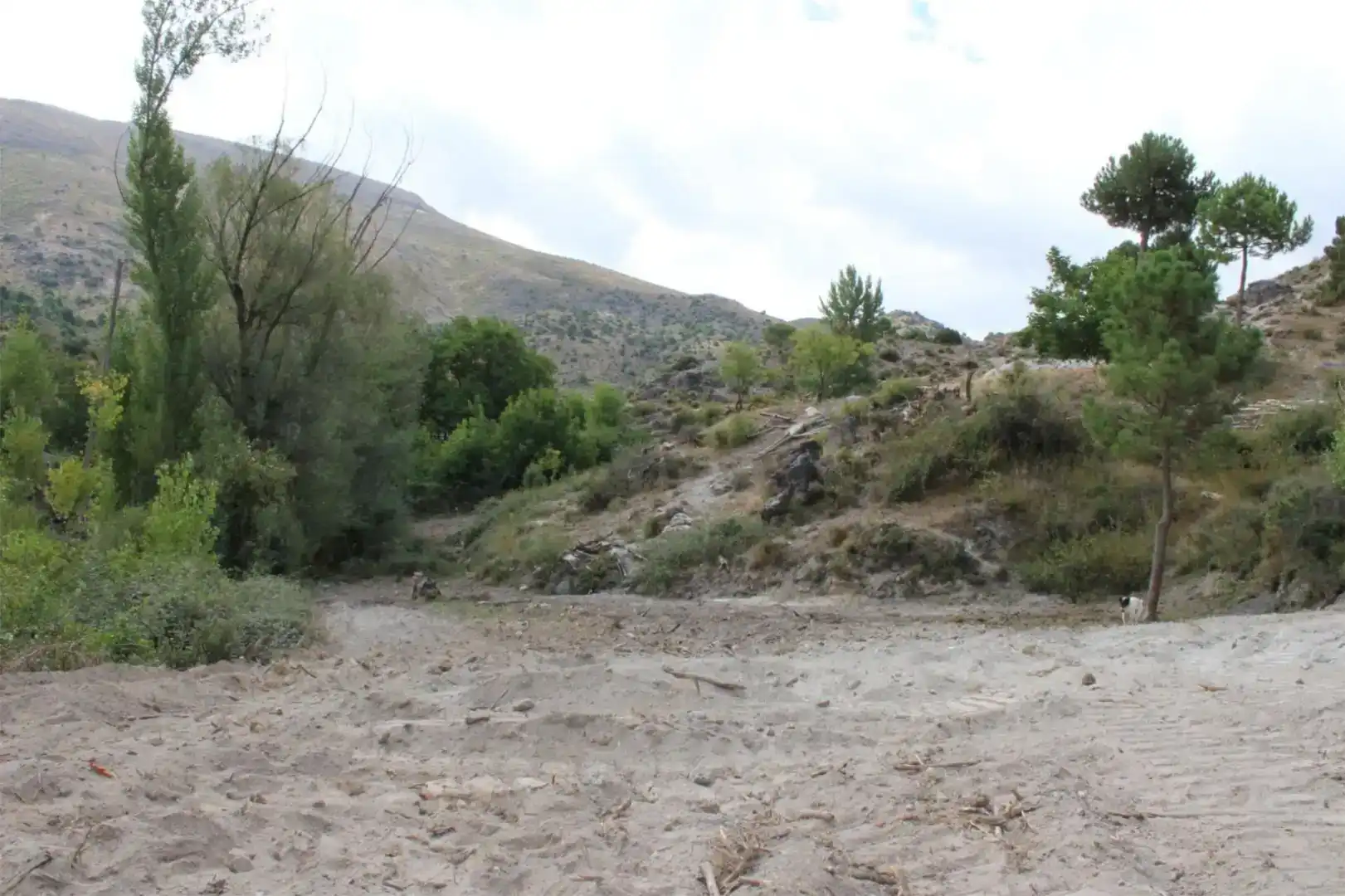 Vista exterior de Finca rústica en venta en Quéntar