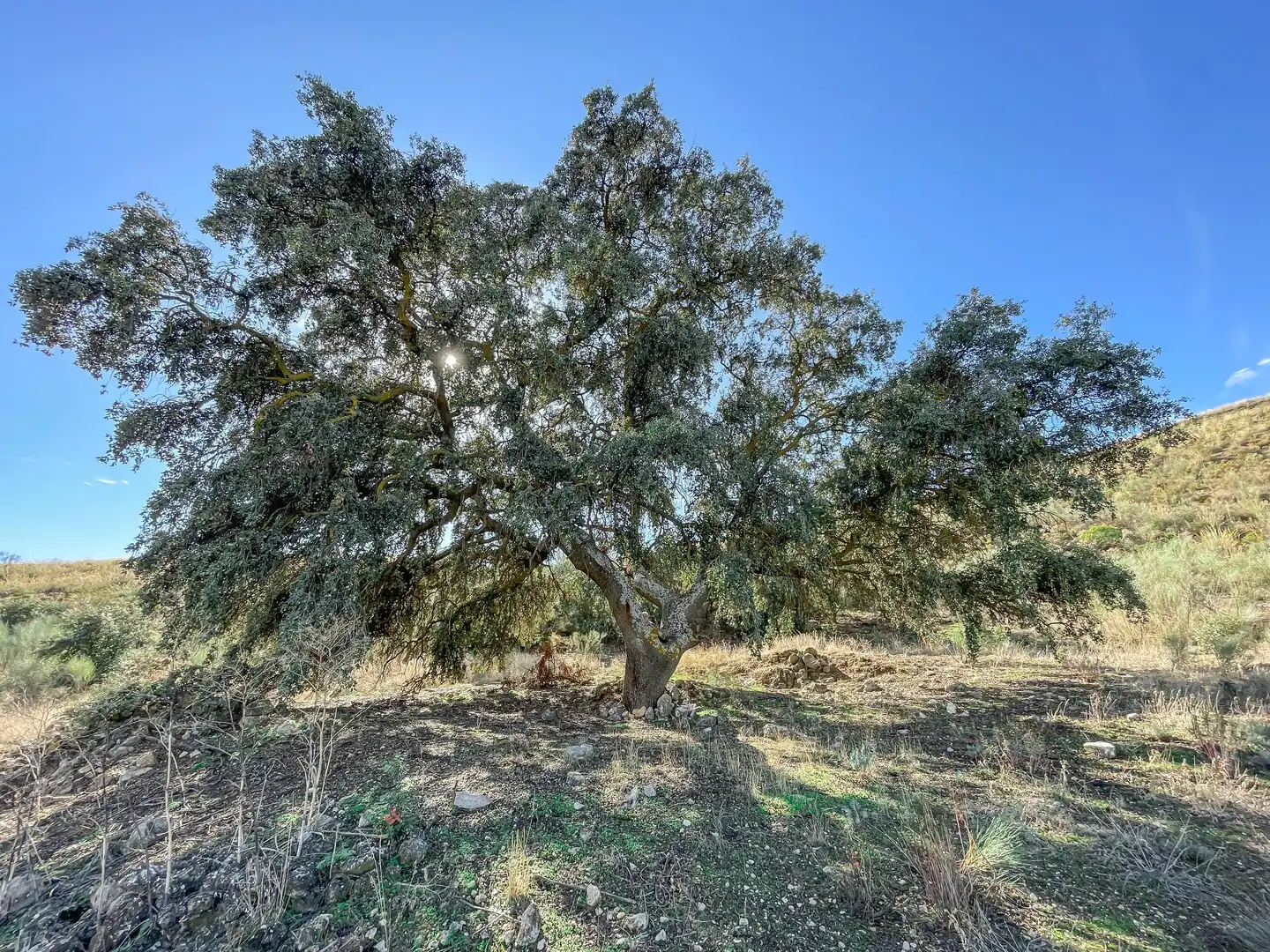 Grundstücke zum Verkauf in Alhama de Granada