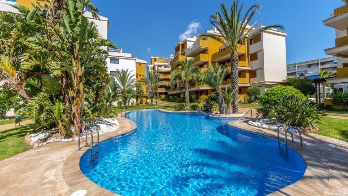 Piscina de Pis en venda en Torrevieja amb Calefacció, Parquet i Terrassa