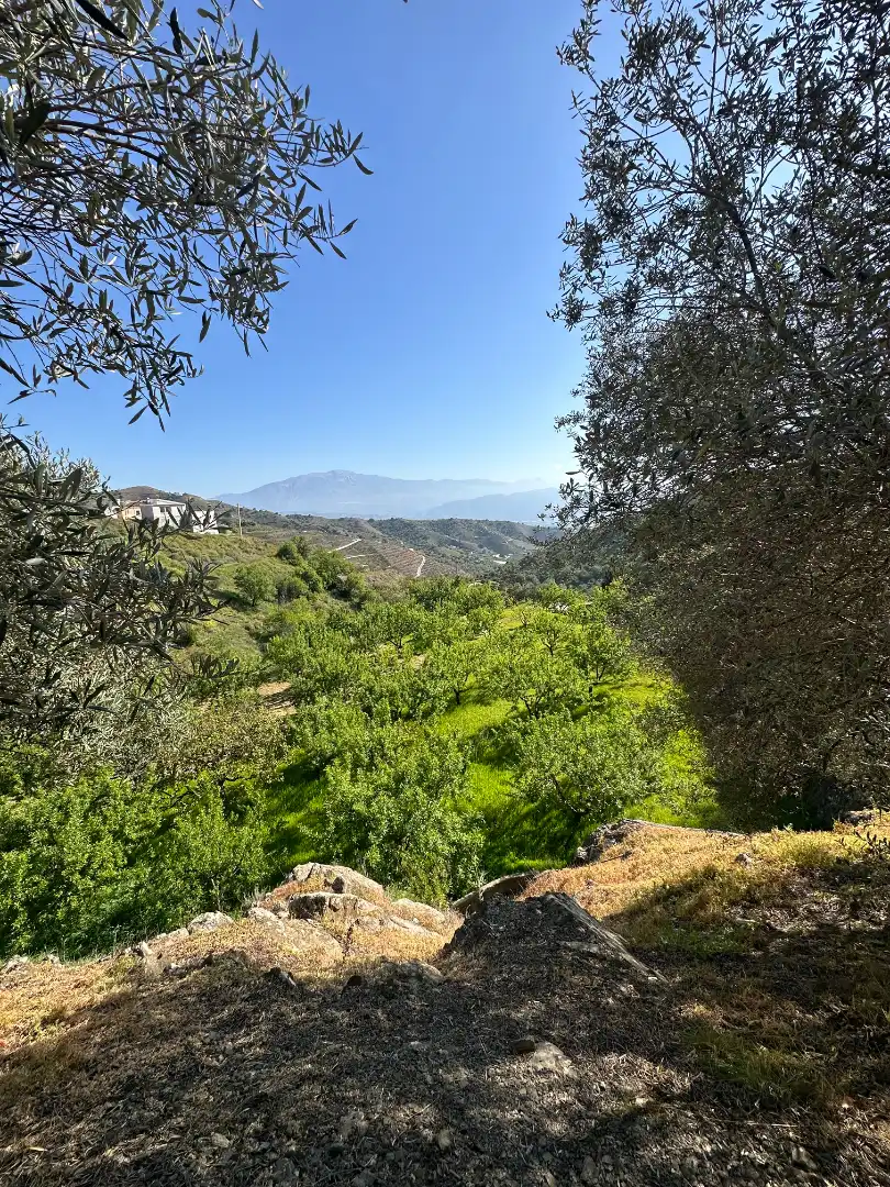 Casa rustica con giardino in vendita a Iznate, imagen 35