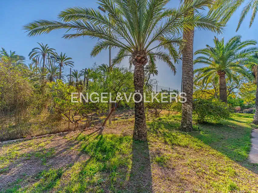 Terreno residencial en venta en Polígono Industrial Alzabares Alto, imagen 8