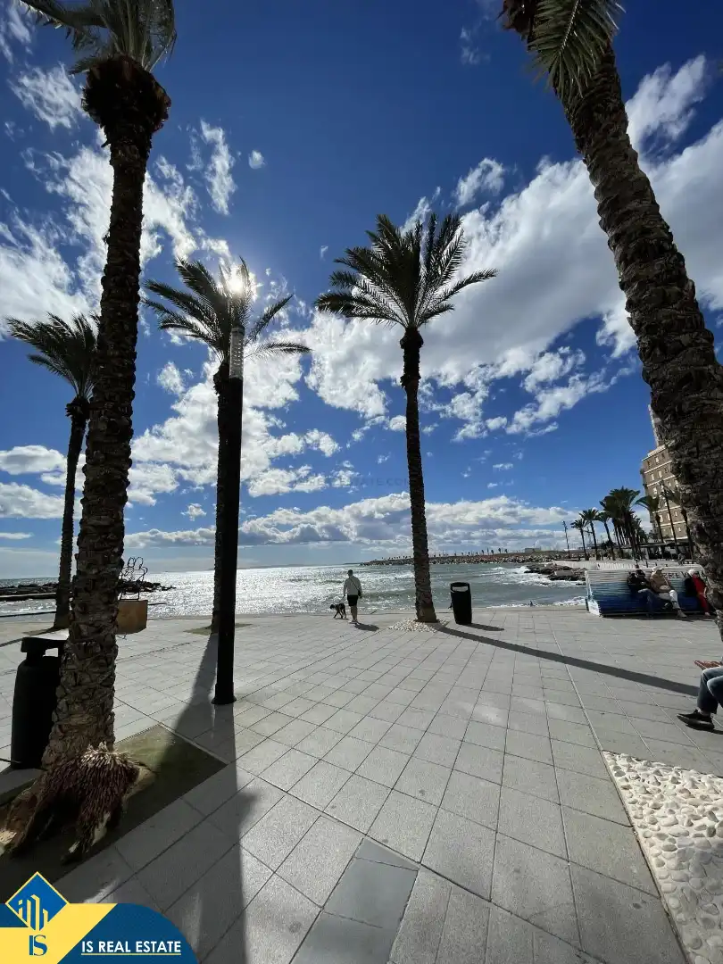 Penthouse mit Aufzug zum Verkauf in La Mata, imagen 14