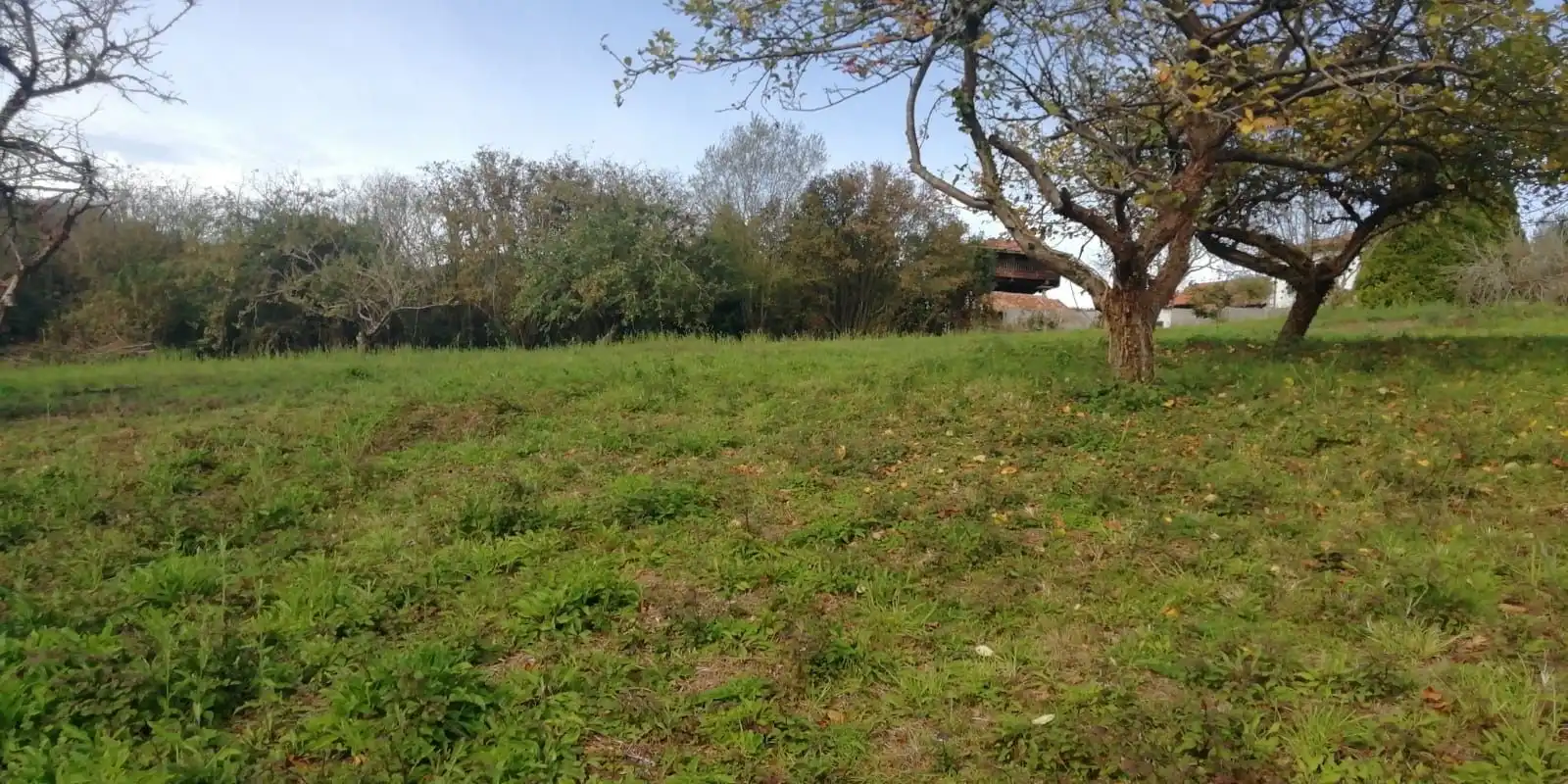Terreny residencial en venda a Las Regueras, imagen 12