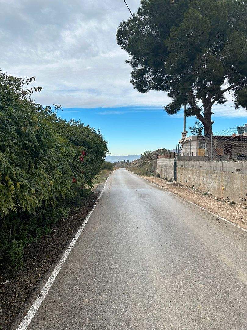 Exterior view of Land for sale in Bigastro