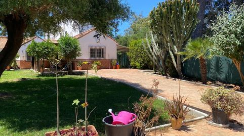 Encantadora finca urbana  en el centro del pueblo, imatge 3